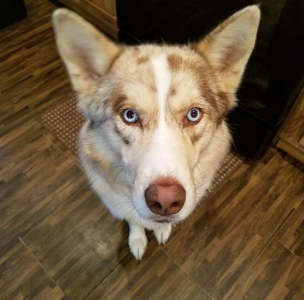 Meet your Posher, Peggy